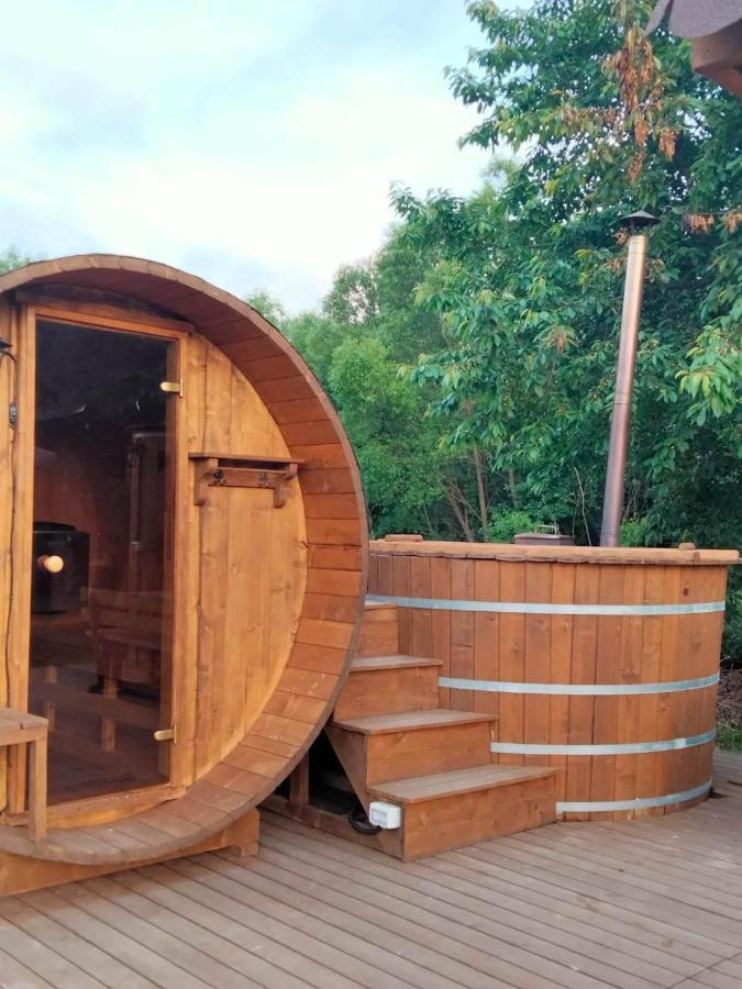 Popasul Dacilor Villa Predelut Ngoại thất bức ảnh